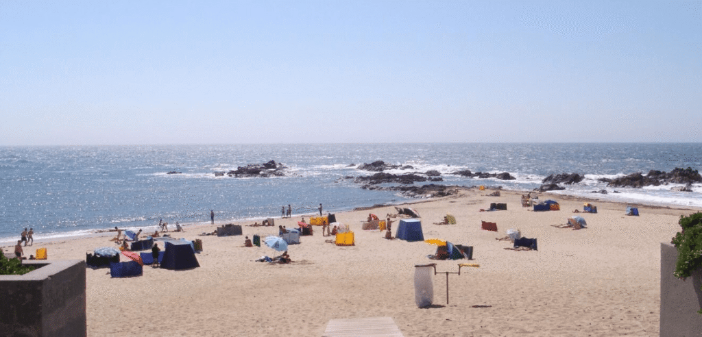 O Mar de Vila do Conde Fica Fluorescente: Imagens Incríveis!