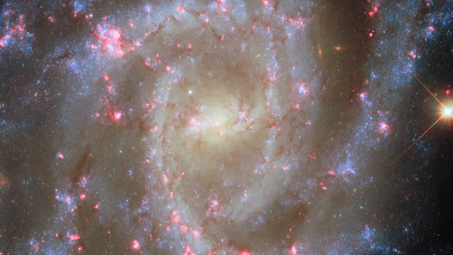 Deslumbrantes flores galácticas com nebulosas rosadas na nova imagem do Hubble