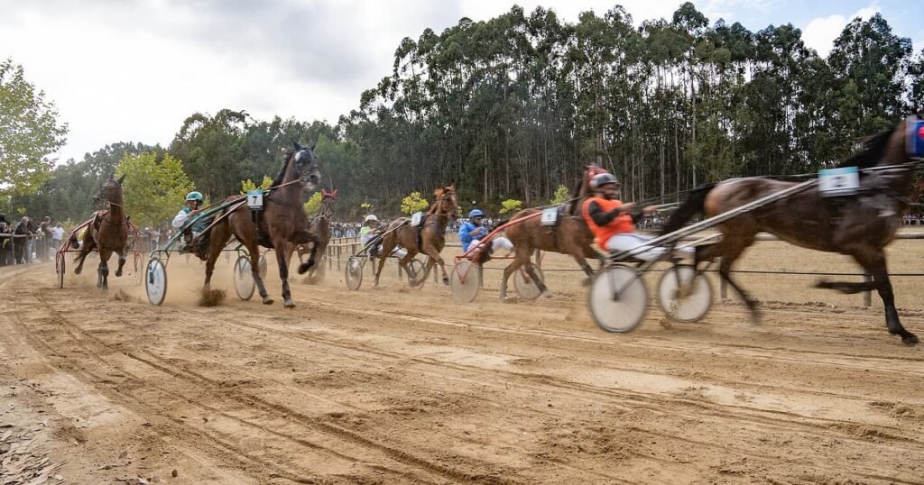Euforia em alta velocidade: multidões lotaram o Hipódromo de Carvalho para assistir às disputas.