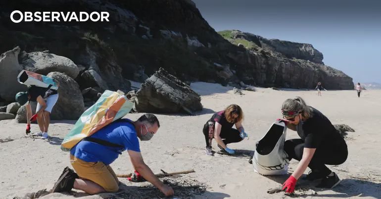 Mais de 100 organizações celebram o Dia da Limpeza Costeira na próxima semana Mais de 100 organizações celebram o Dia da Limpeza Costeira na próxima semana