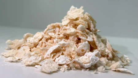 Cientistas criam plástico biodegradável mais forte que o PET