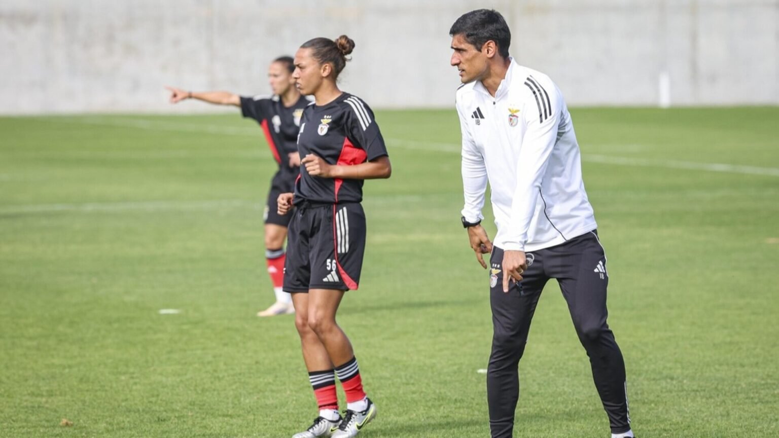 O Papel do Benfica nos Últimos 6 Anos na Competição Europeia e as Três Equipas Portuguesas em Ação O Papel do Benfica nos Últimos 6 Anos na Competição Europeia e as Três Equipas Portuguesas em Ação