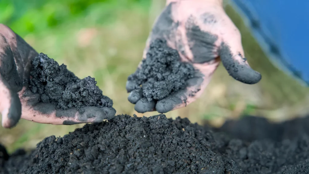 O Poder Secreto do Biochar Pode Transformar a Água Limpa Para Sempre O Poder Secreto do Biochar Pode Transformar a Água Limpa Para Sempre