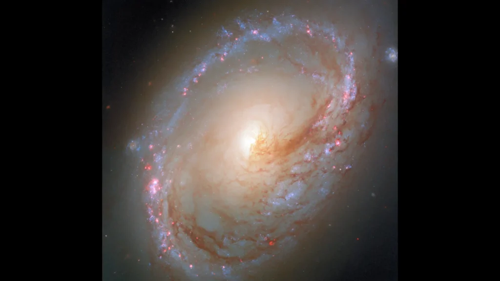 Hubble revela estrelas recém-nascidas em uma galáxia dilacerada pela gravidade Hubble revela estrelas recém-nascidas em uma galáxia dilacerada pela gravidade