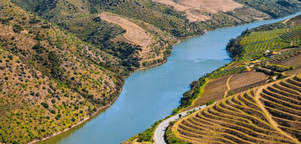 Azeite em Destaque: Douro Investe em Nova Rota Turística para 2026
