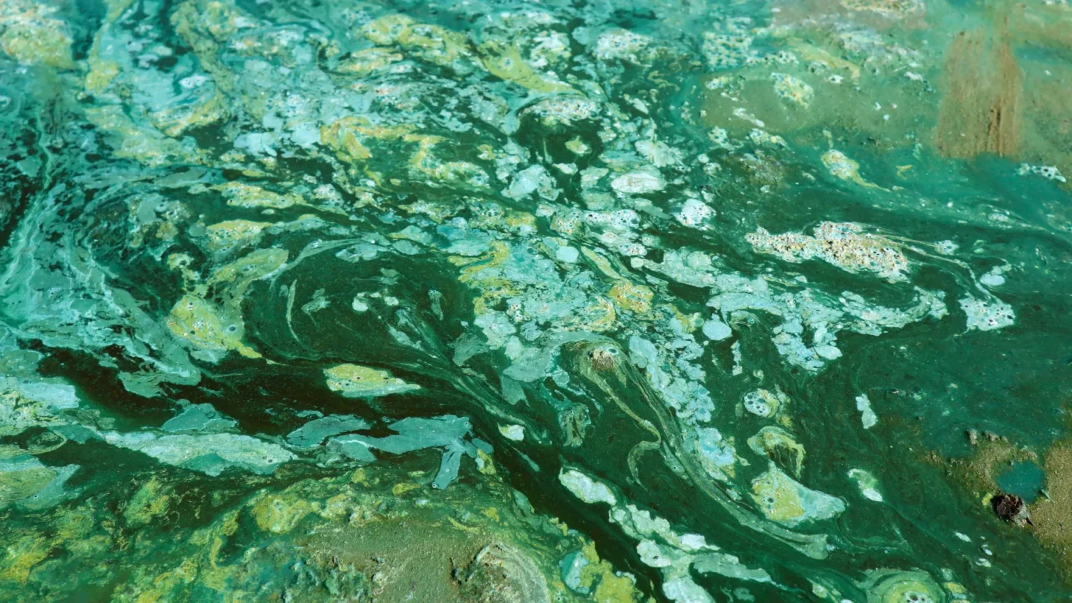 Cientistas revelam o que atrasou a explosão de oxigênio na Terra por um bilhão de anos