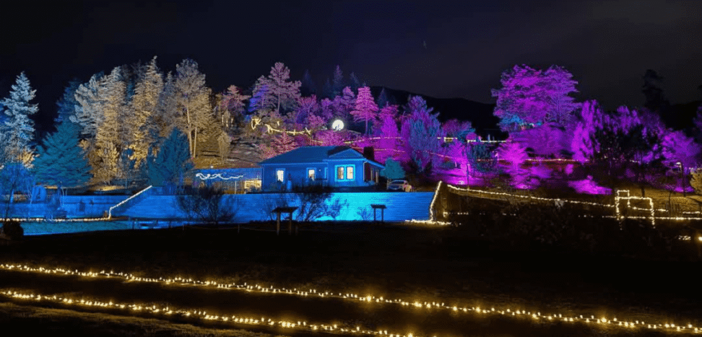 Descubra a Floresta Encantada a 1h30 do Porto