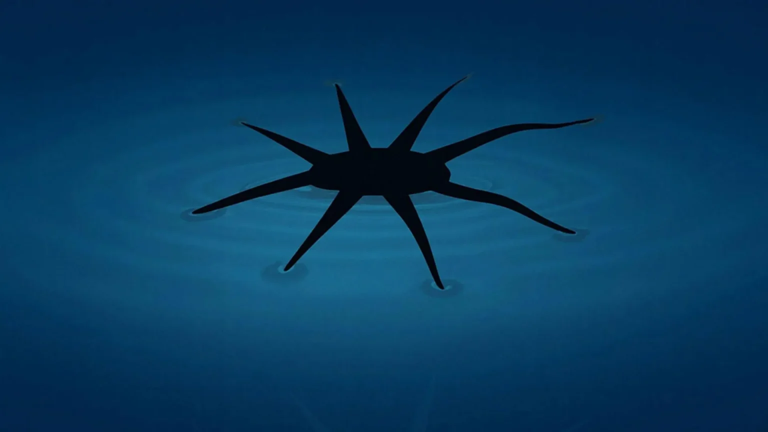 Esses pequenos robôs literalmente andam sobre a água Esses pequenos robôs literalmente andam sobre a água