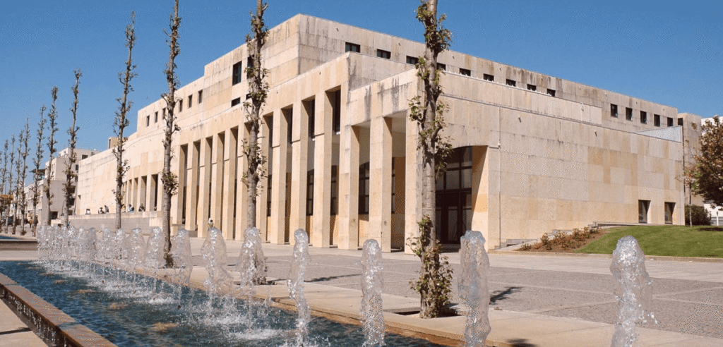 Metrô de Matosinhos traz vida a 265 novas árvores e muito mais