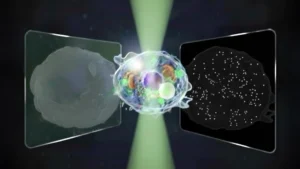 "Grande Microscópio Unificado Revela Mundos Micro e Nano em Uma Única Visão"