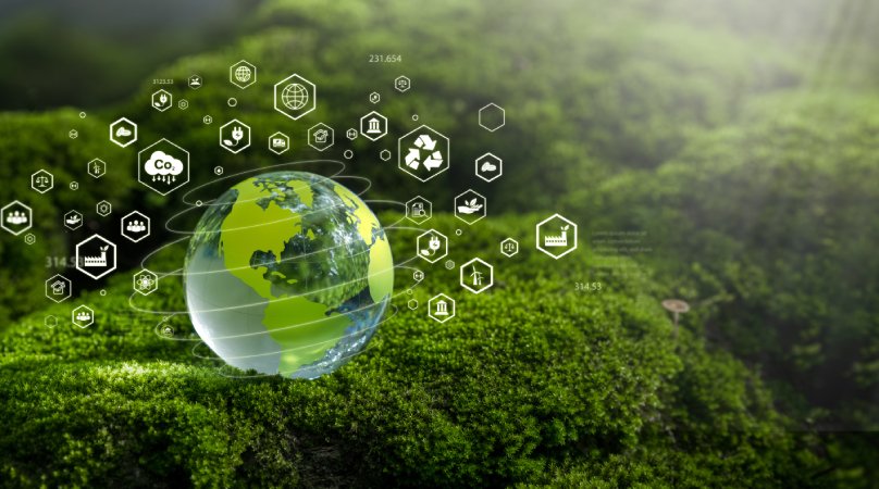 A cultura remota da empresa evita cerca de 168 toneladas de emissões de CO2 em apenas um ano A cultura remota da empresa evita cerca de 168 toneladas de emissões de CO2 em apenas um ano