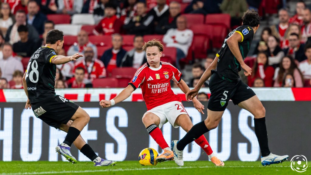 Borussia Dortmund quer Andreas Schjelderup e pode incluir Rafa Silva na negociação