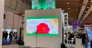 Celorico na BTL exibe flores, bebidas e culinária