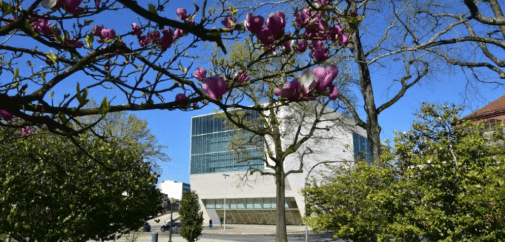 Intervenção na Praça Mouzinho da Silveira por 3 Dias Intervenção na Praça Mouzinho da Silveira por 3 Dias