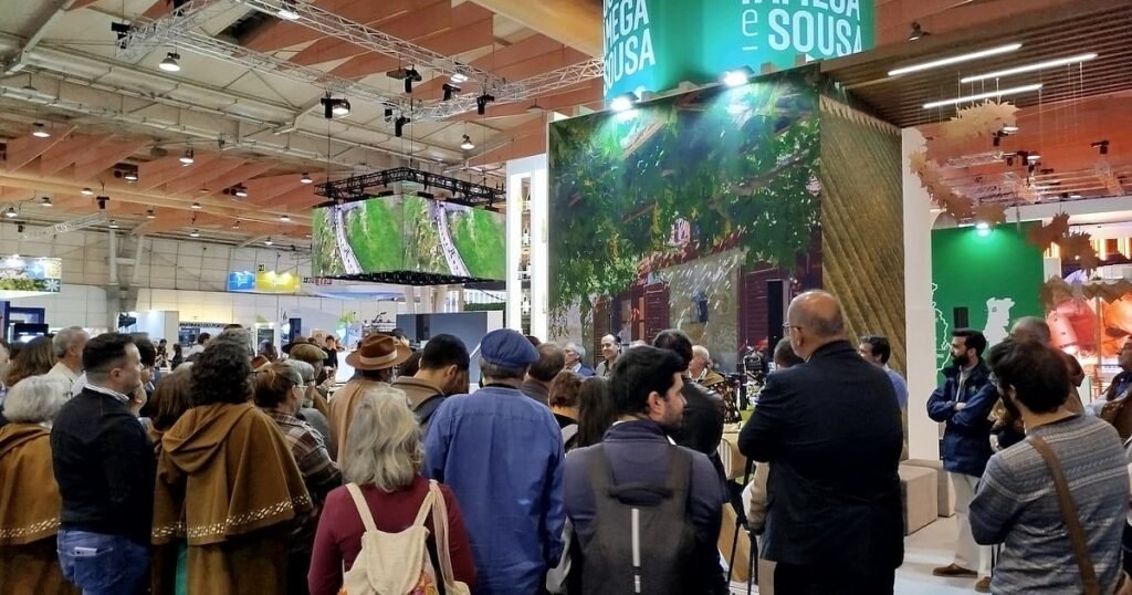 Imported Article – 2026-02-28 19:47:28 Imported Article – 2026-02-28 19:47:28