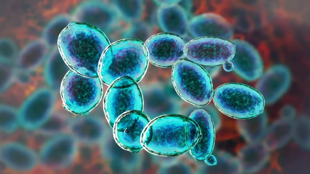 Este minúsculo organismo se recusou a morrer em condições semelhantes a Marte