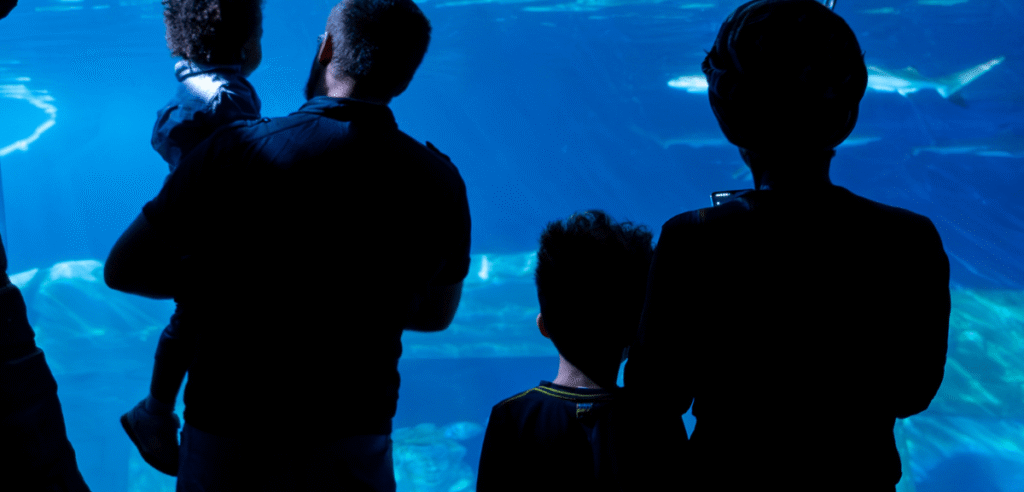 Dia do Pai no Porto: Programa Ideal para Pais e Filhos com Crianças a Não Pagarem Dia do Pai no Porto: Programa Ideal para Pais e Filhos com Crianças a Não Pagarem