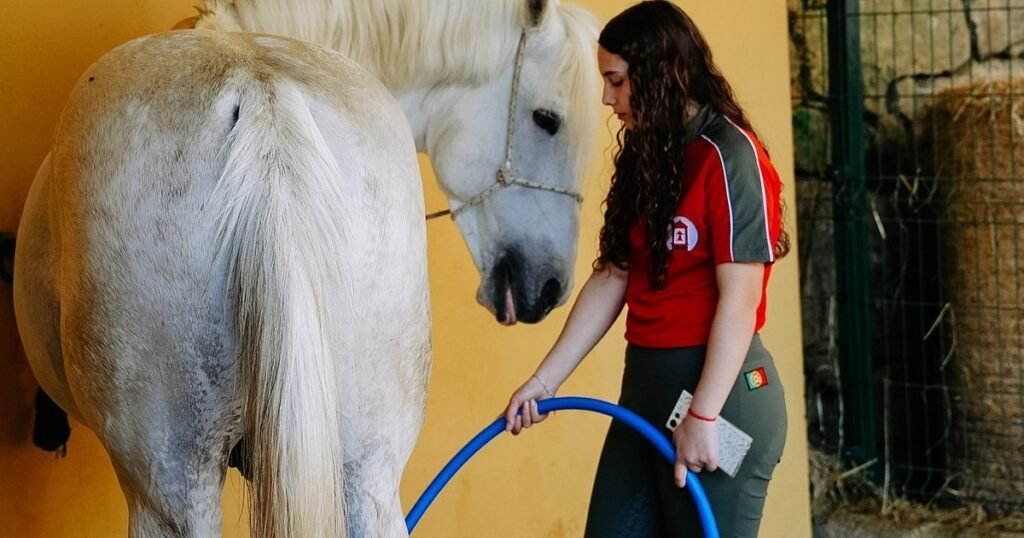 Escola Técnica Agrária de Celorico recebe estudantes do 3.º ciclo Escola Técnica Agrária de Celorico recebe estudantes do 3.º ciclo