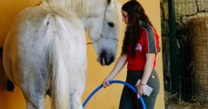 Escola Técnica Agrária de Celorico recebe estudantes do 3.º ciclo Escola Técnica Agrária de Celorico recebe estudantes do 3.º ciclo
