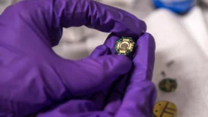 Imported Article – 2026-03-07 08:17:41